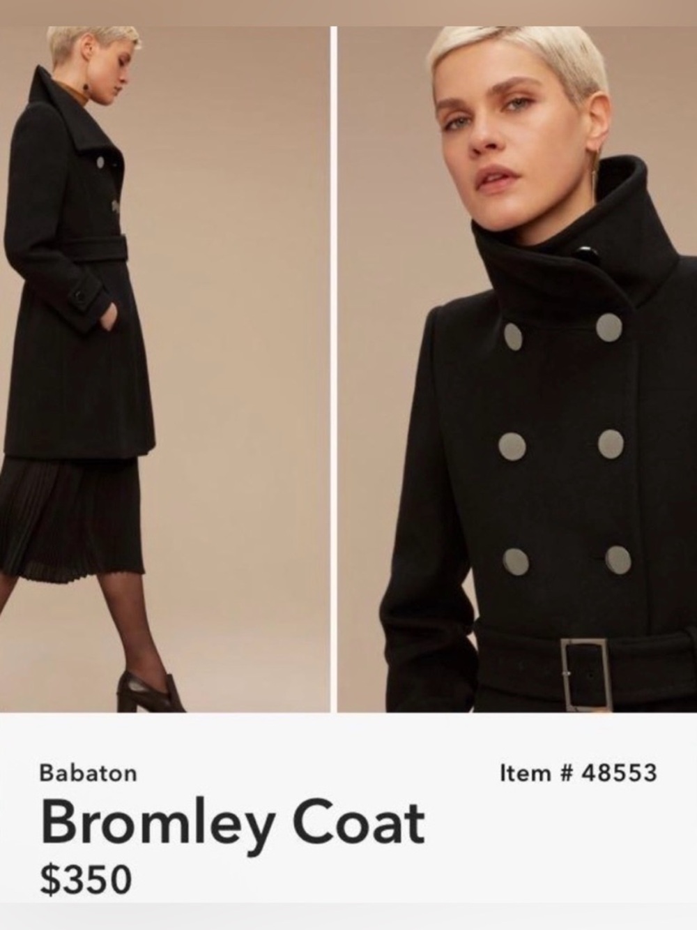Aritzia Babaton Bromley Black Coat